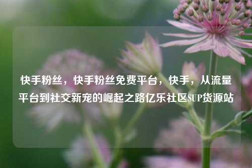 快手粉丝，快手粉丝免费平台	，快手，从流量平台到社交新宠的崛起之路亿乐社区SUP货源站  第1张