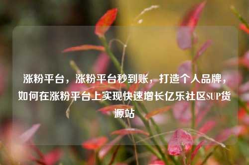 涨粉平台，涨粉平台秒到账，打造个人品牌	，如何在涨粉平台上实现快速增长亿乐社区SUP货源站  第1张