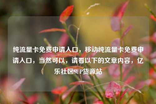 纯流量卡免费申请入口	，移动纯流量卡免费申请入口，当然可以，请看以下的文章内容	，亿乐社区SUP货源站  第1张