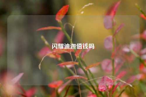 闪耀迪迦值钱吗  第1张