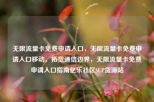 无限流量卡免费申请入口，无限流量卡免费申请入口移动	，拓宽通信边界，无限流量卡免费申请入口指南亿乐社区SUP货源站  第1张