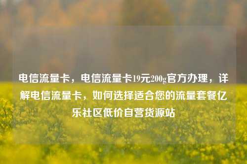 电信流量卡	，电信流量卡19元200g官方办理，详解电信流量卡，如何选择适合您的流量套餐亿乐社区低价自营货源站  第1张