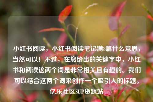 小红书阅读，小红书阅读笔记满8篇什么意思	，当然可以！不过，在您给出的关键字中，小红书和阅读这两个词是非常相关且有趣的。我们可以结合这两个词来创作一个吸引人的标题	。亿乐社区SUP货源站  第1张
