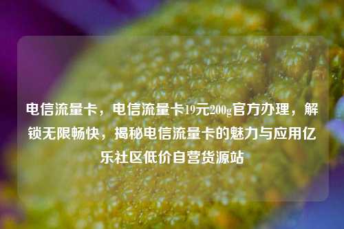电信流量卡，电信流量卡19元200g官方办理	，解锁无限畅快，揭秘电信流量卡的魅力与应用亿乐社区低价自营货源站  第1张
