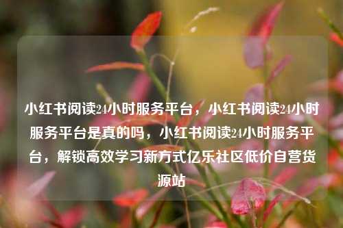 小红书阅读24小时服务平台，小红书阅读24小时服务平台是真的吗，小红书阅读24小时服务平台	，解锁高效学习新方式亿乐社区低价自营货源站  第1张