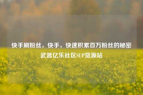 快手刷粉丝，快手，快速积累百万粉丝的秘密武器亿乐社区SUP货源站  第1张