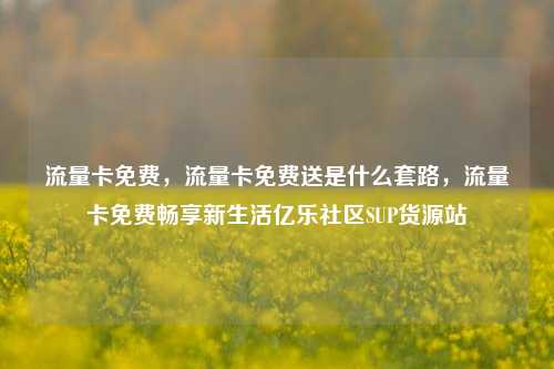 流量卡免费	，流量卡免费送是什么套路，流量卡免费畅享新生活亿乐社区SUP货源站  第1张