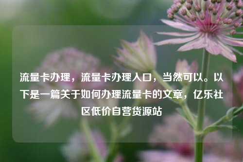 流量卡办理，流量卡办理入口，当然可以。以下是一篇关于如何办理流量卡的文章	，亿乐社区低价自营货源站  第1张