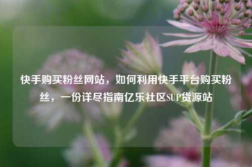 快手购买粉丝网站	，如何利用快手平台购买粉丝，一份详尽指南亿乐社区SUP货源站  第1张