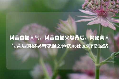 抖音直播人气，抖音直播火爆背后，揭秘高人气背后的秘密与变现之道亿乐社区SUP货源站  第1张