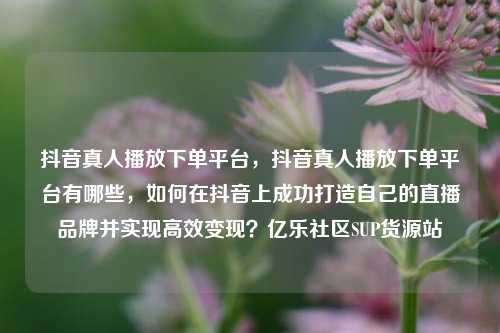 抖音真人播放下单平台，抖音真人播放下单平台有哪些，如何在抖音上成功打造自己的直播品牌并实现高效变现？亿乐社区SUP货源站  第1张