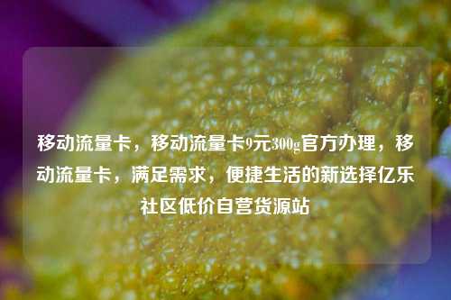 移动流量卡，移动流量卡9元300g官方办理，移动流量卡	，满足需求，便捷生活的新选择亿乐社区低价自营货源站  第1张