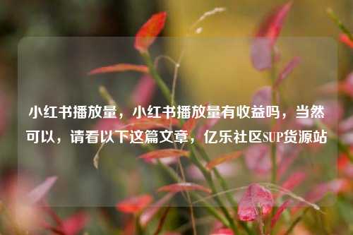小红书播放量，小红书播放量有收益吗，当然可以	，请看以下这篇文章，亿乐社区SUP货源站  第1张