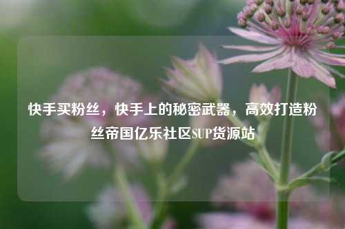 快手买粉丝，快手上的秘密武器	，高效打造粉丝帝国亿乐社区SUP货源站  第1张