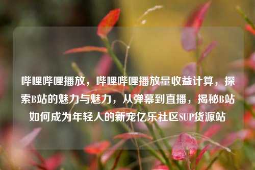 哔哩哔哩播放，哔哩哔哩播放量收益计算	，探索B站的魅力与魅力，从弹幕到直播，揭秘B站如何成为年轻人的新宠亿乐社区SUP货源站  第1张