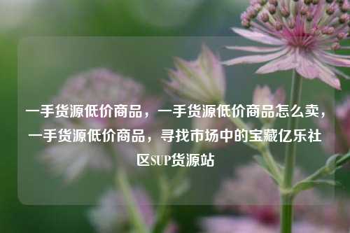 一手货源低价商品，一手货源低价商品怎么卖	，一手货源低价商品，寻找市场中的宝藏亿乐社区SUP货源站  第1张