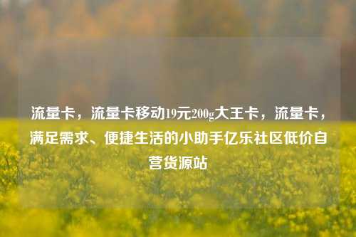 流量卡，流量卡移动19元200g大王卡，流量卡	，满足需求、便捷生活的小助手亿乐社区低价自营货源站  第1张