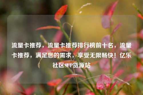 流量卡推荐	，流量卡推荐排行榜前十名，流量卡推荐，满足您的需求，享受无限畅快！亿乐社区SUP货源站  第1张
