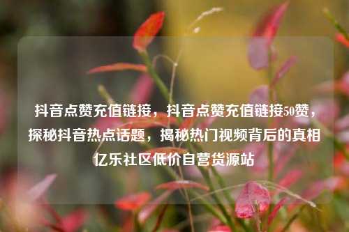 抖音点赞充值链接	，抖音点赞充值链接50赞，探秘抖音热点话题，揭秘热门视频背后的真相亿乐社区低价自营货源站  第1张