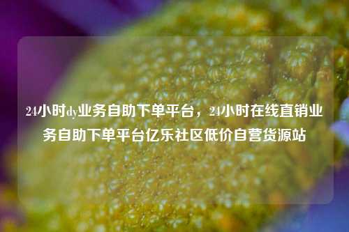 24小时dy业务自助下单平台，24小时在线直销业务自助下单平台亿乐社区低价自营货源站  第1张