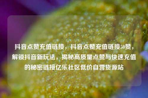 抖音点赞充值链接，抖音点赞充值链接50赞	，解锁抖音新玩法，揭秘高质量点赞与快速充值的秘密链接亿乐社区低价自营货源站  第1张