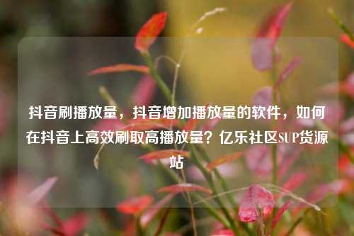 抖音刷播放量，抖音增加播放量的软件，如何在抖音上高效刷取高播放量？亿乐社区SUP货源站  第1张