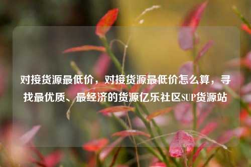 对接货源最低价，对接货源最低价怎么算，寻找最优质、最经济的货源亿乐社区SUP货源站  第1张