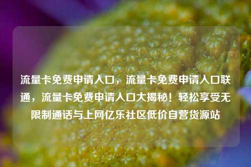 流量卡免费申请入口，流量卡免费申请入口联通	，流量卡免费申请入口大揭秘！轻松享受无限制通话与上网亿乐社区低价自营货源站  第1张