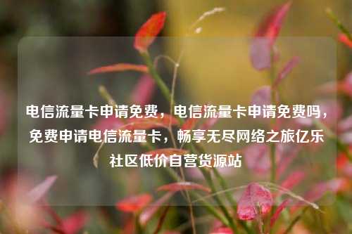 电信流量卡申请免费	，电信流量卡申请免费吗，免费申请电信流量卡，畅享无尽网络之旅亿乐社区低价自营货源站  第1张