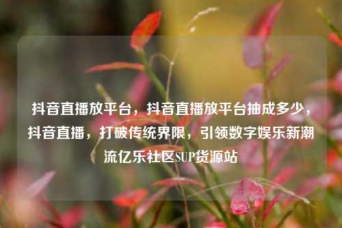 抖音直播放平台，抖音直播放平台抽成多少，抖音直播	，打破传统界限，引领数字娱乐新潮流亿乐社区SUP货源站  第1张