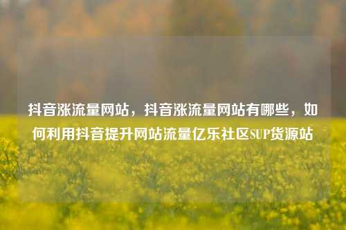 抖音涨流量网站，抖音涨流量网站有哪些，如何利用抖音提升网站流量亿乐社区SUP货源站  第1张