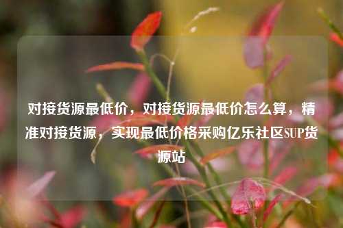对接货源最低价，对接货源最低价怎么算，精准对接货源	，实现最低价格采购亿乐社区SUP货源站  第1张