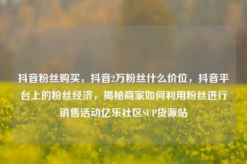 抖音粉丝购买，抖音2万粉丝什么价位	，抖音平台上的粉丝经济，揭秘商家如何利用粉丝进行销售活动亿乐社区SUP货源站  第1张