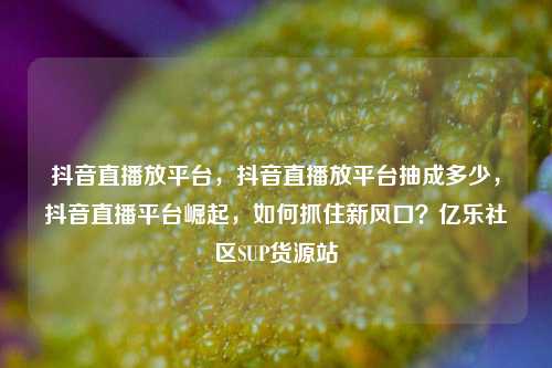 抖音直播放平台，抖音直播放平台抽成多少	，抖音直播平台崛起，如何抓住新风口？亿乐社区SUP货源站  第1张