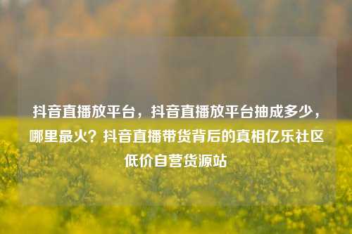 抖音直播放平台	，抖音直播放平台抽成多少，哪里最火？抖音直播带货背后的真相亿乐社区低价自营货源站  第1张