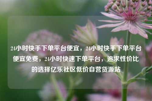 24小时快手下单平台便宜，24小时快手下单平台便宜免费	，24小时快速下单平台，追求性价比的选择亿乐社区低价自营货源站  第1张