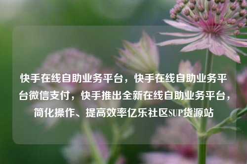 快手在线自助业务平台，快手在线自助业务平台微信支付，快手推出全新在线自助业务平台	，简化操作、提高效率亿乐社区SUP货源站  第1张