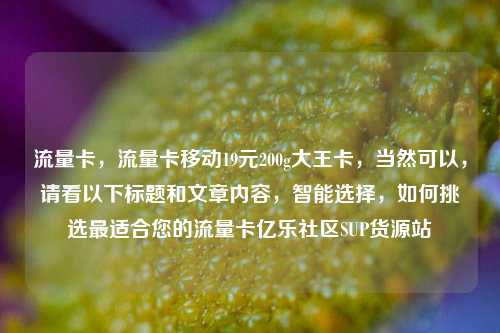 流量卡，流量卡移动19元200g大王卡，当然可以	，请看以下标题和文章内容，智能选择，如何挑选最适合您的流量卡亿乐社区SUP货源站  第1张