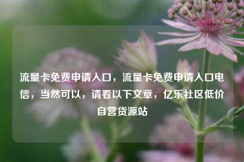 流量卡免费申请入口，流量卡免费申请入口电信，当然可以	，请看以下文章，亿乐社区低价自营货源站  第1张