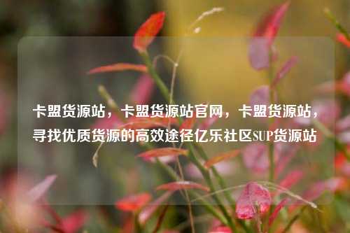 卡盟货源站，卡盟货源站官网，卡盟货源站	，寻找优质货源的高效途径亿乐社区SUP货源站  第1张
